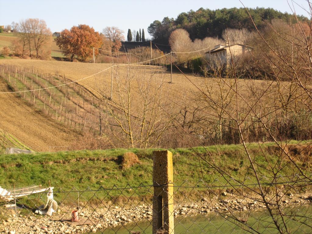 La Pietra Rara B&B Montone  Dış mekan fotoğraf