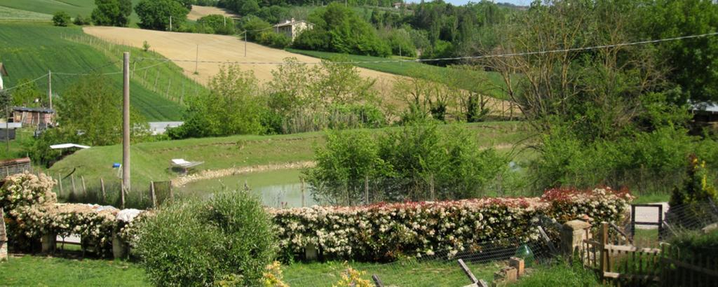 La Pietra Rara B&B Montone  Dış mekan fotoğraf