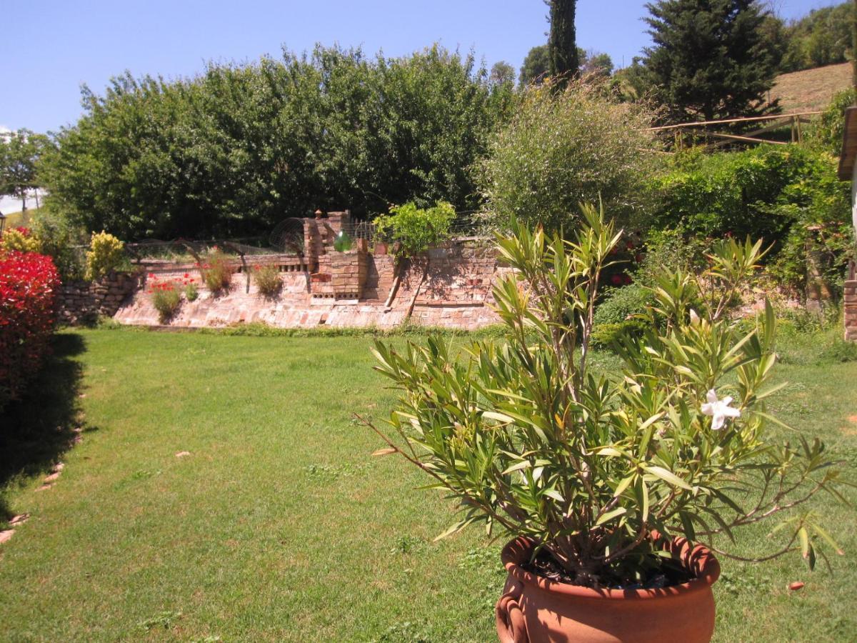 La Pietra Rara B&B Montone  Dış mekan fotoğraf
