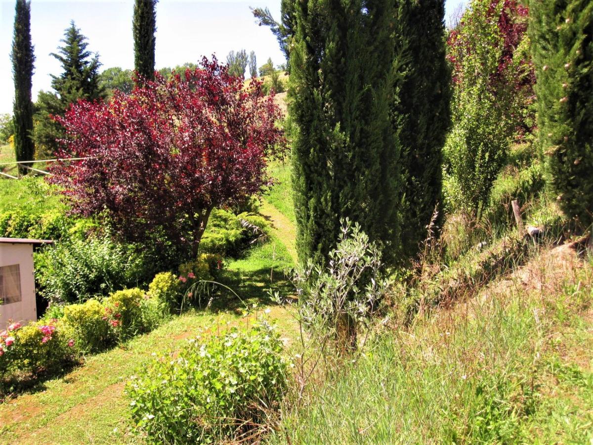 La Pietra Rara B&B Montone  Dış mekan fotoğraf