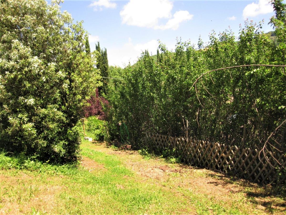 La Pietra Rara B&B Montone  Dış mekan fotoğraf