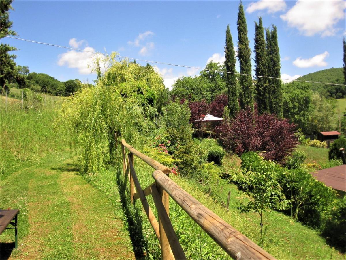 La Pietra Rara B&B Montone  Dış mekan fotoğraf