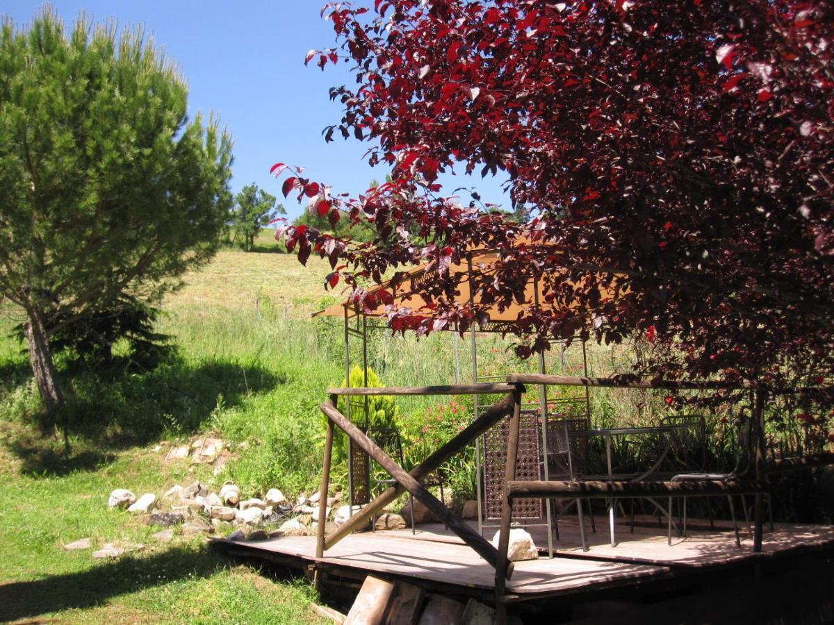 La Pietra Rara B&B Montone  Dış mekan fotoğraf