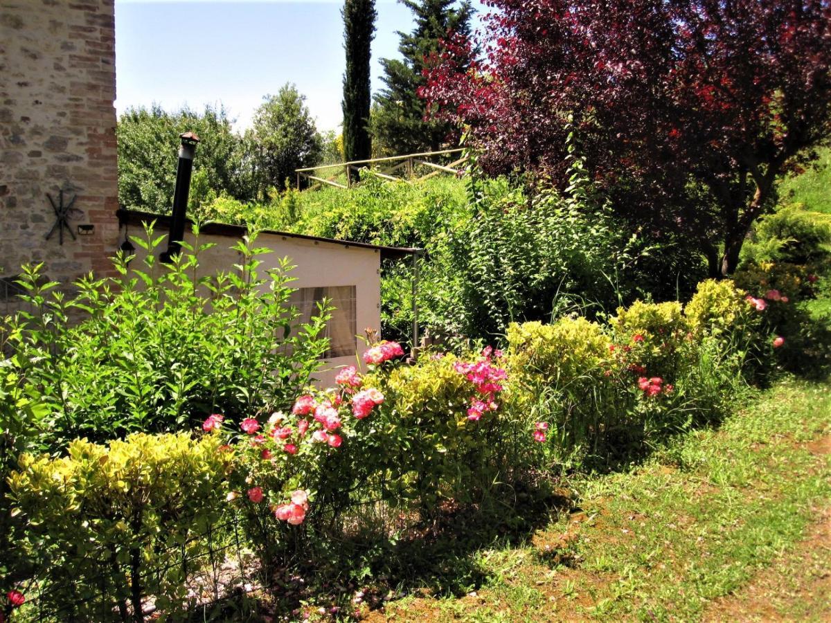 La Pietra Rara B&B Montone  Dış mekan fotoğraf