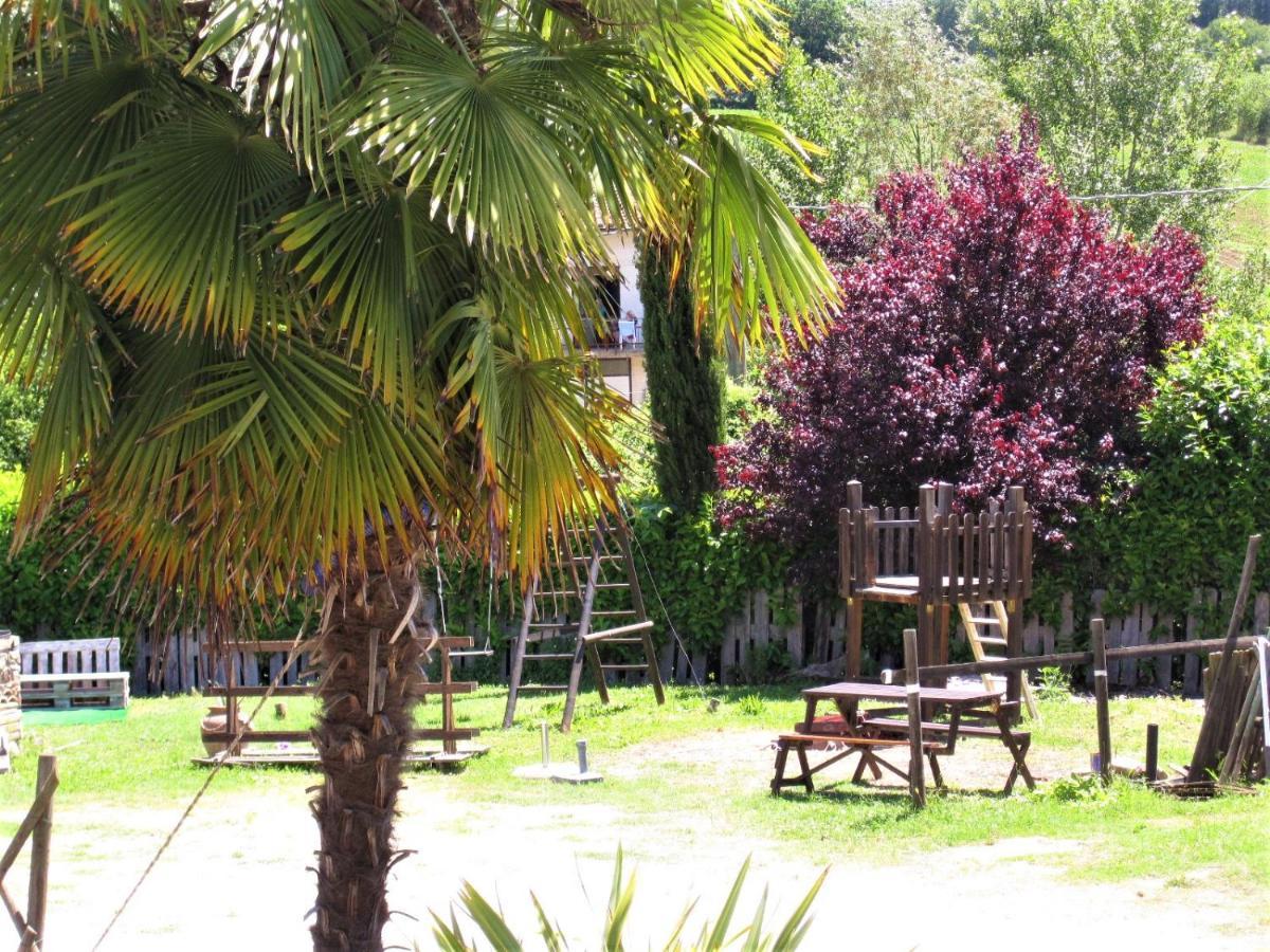 La Pietra Rara B&B Montone  Dış mekan fotoğraf