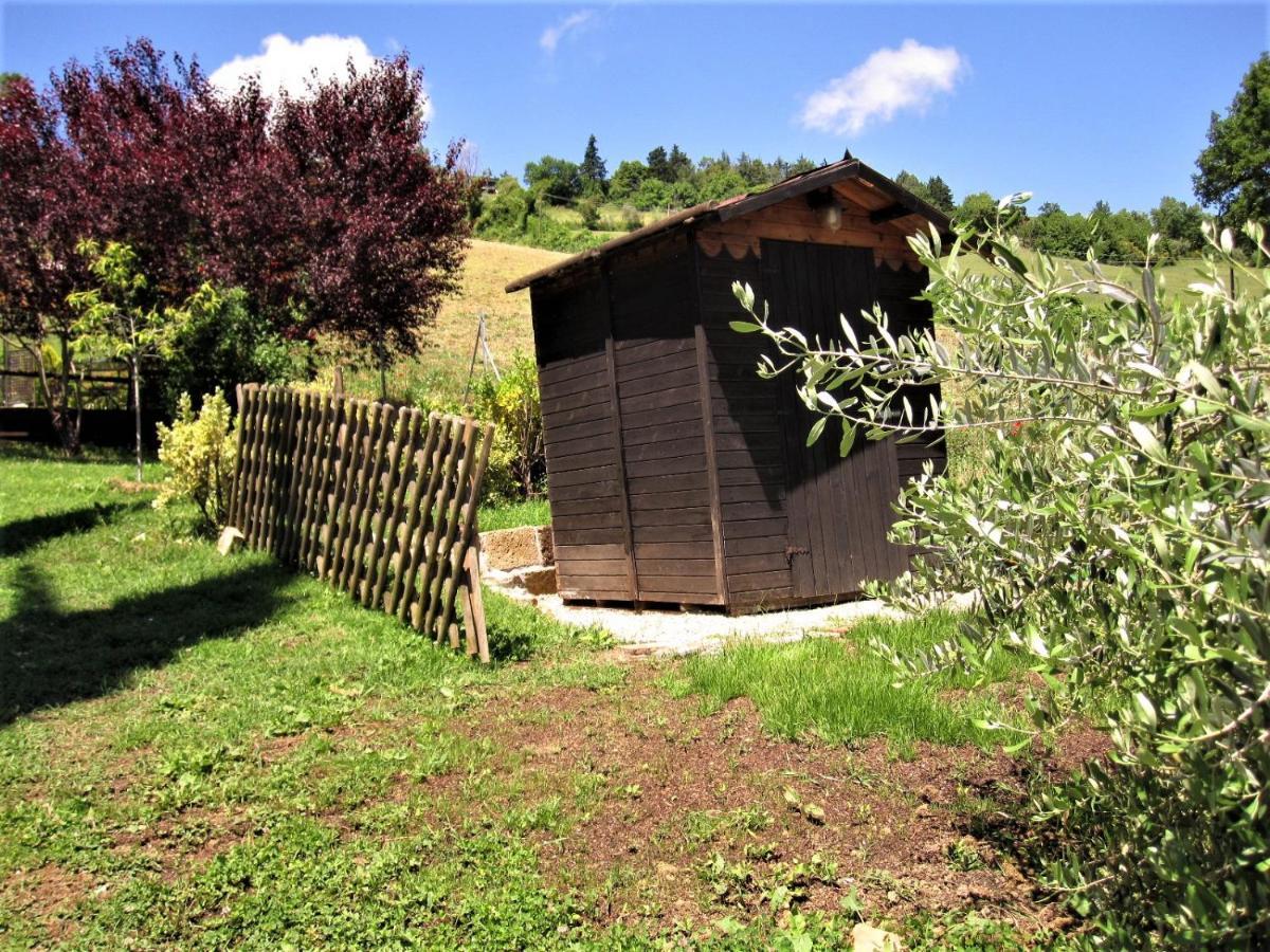 La Pietra Rara B&B Montone  Dış mekan fotoğraf